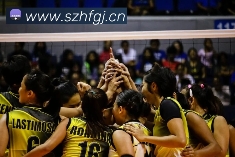 多媒体互动体验